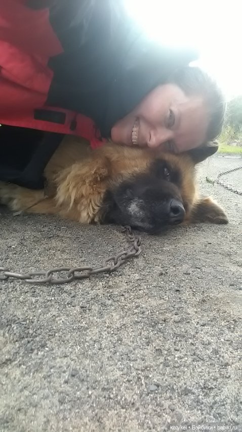 Белла Мяу и осенние листья (и опрос) (фото 9)