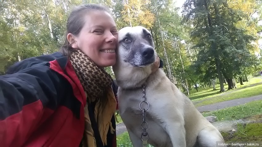 Белла Мяу и осенние листья (и опрос) (фото 8)