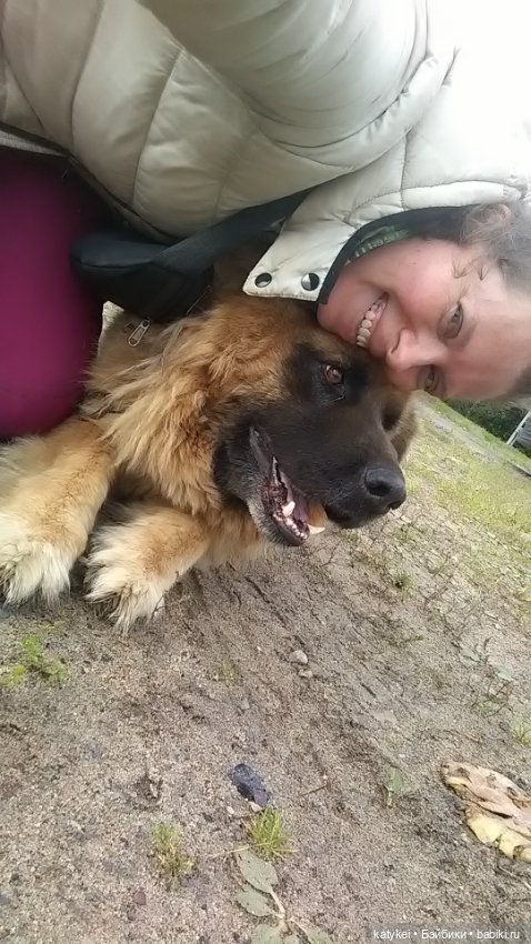 Белла Мяу и осенние листья (и опрос)