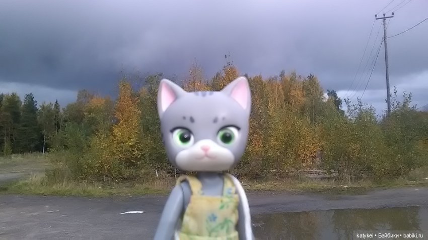 Белла Мяу и осенние листья (и опрос)