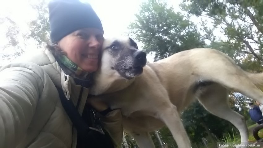 Белла Мяу и осенние листья (и опрос) (фото 10)