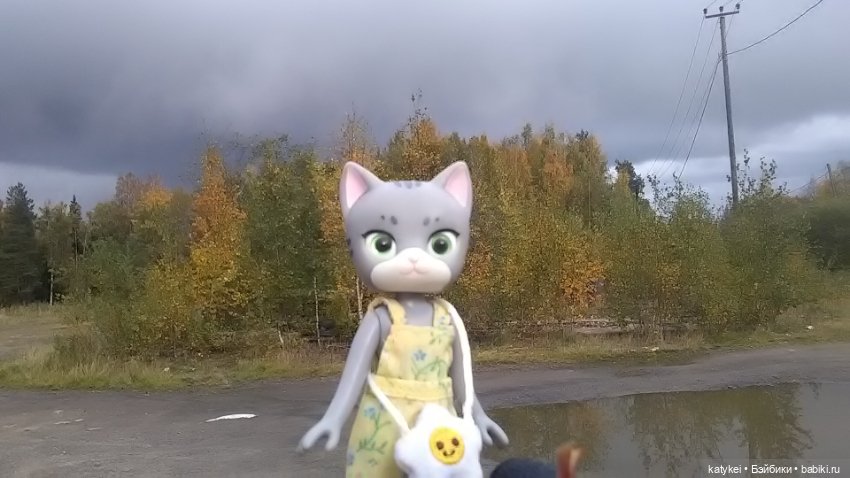 Белла Мяу и осенние листья (и опрос)