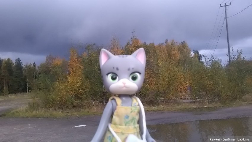 Белла Мяу и осенние листья (и опрос)