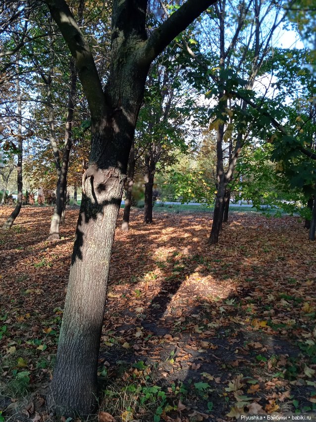 Тёплый сентябрь Агаты — Куклы Only Hearts Club (Хартсинки): мягконабивные (фото 2)