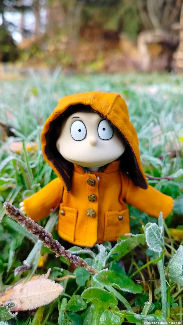 Где-то в Карпогорах. Занавес (фото 4)