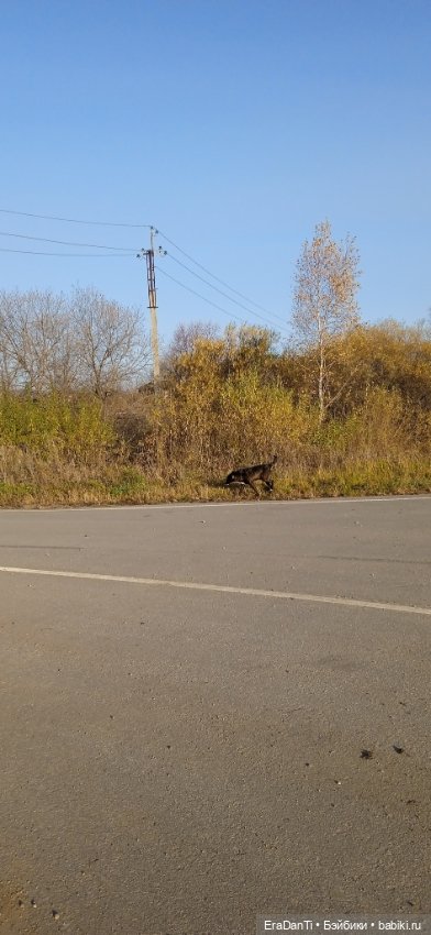 Пост Благодарность — Другие хобби и увлечения: сад (фото 9)