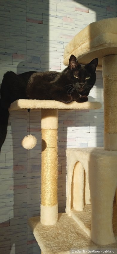 Пост Благодарность — Другие хобби и увлечения: сад (фото 4)