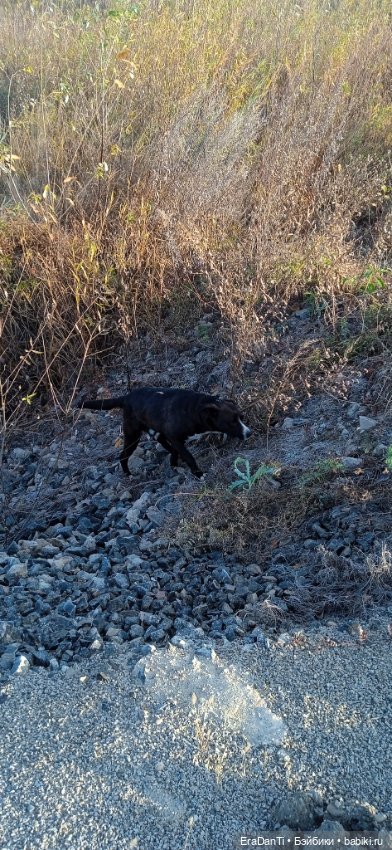 Пост Благодарность — Другие хобби и увлечения: сад