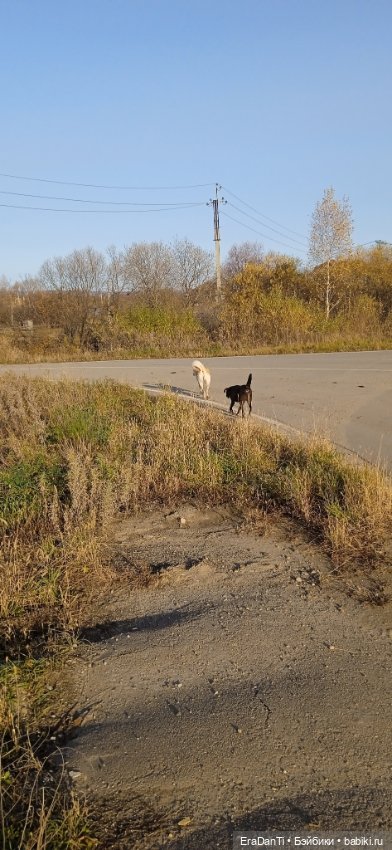 Пост Благодарность — Другие хобби и увлечения: сад (фото 5)