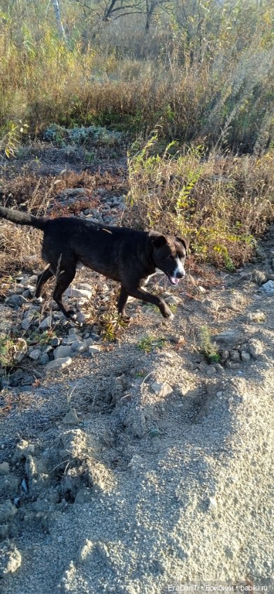 Пост Благодарность — Другие хобби и увлечения: сад