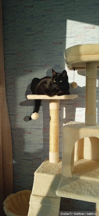 Пост Благодарность — Другие хобби и увлечения: сад (фото 2)