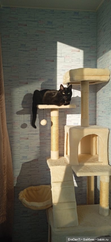 Пост Благодарность — Другие хобби и увлечения: сад