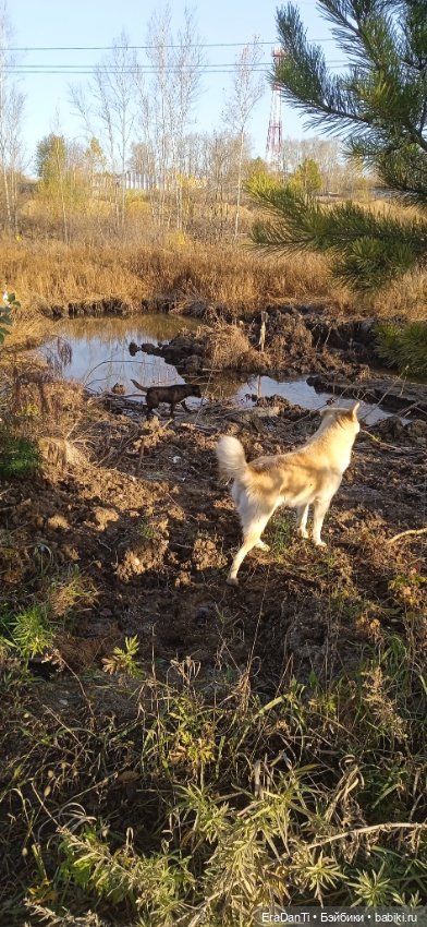 Пост Благодарность — Другие хобби и увлечения: сад