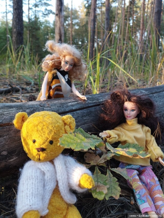 Куклы, часть нашей жизни — Игровые куклы разных производителей (Разное): редкие бренды