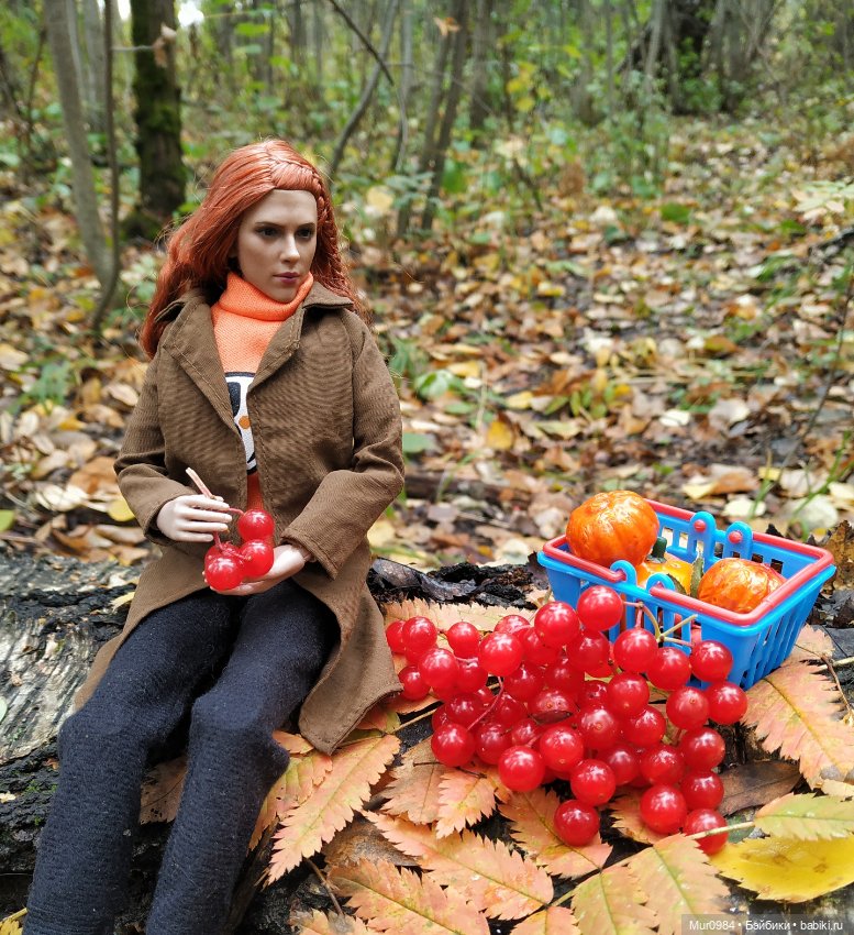 В осенних огородных заботах друзья приходят на помощь (фото 5)