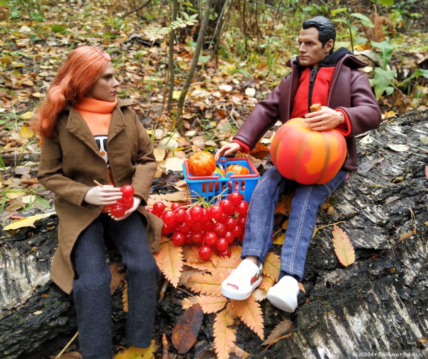 В осенних огородных заботах друзья приходят на помощь (фото 7)