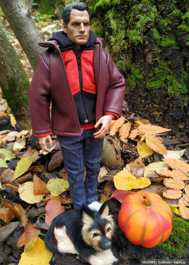 В осенних огородных заботах друзья приходят на помощь (фото 9)