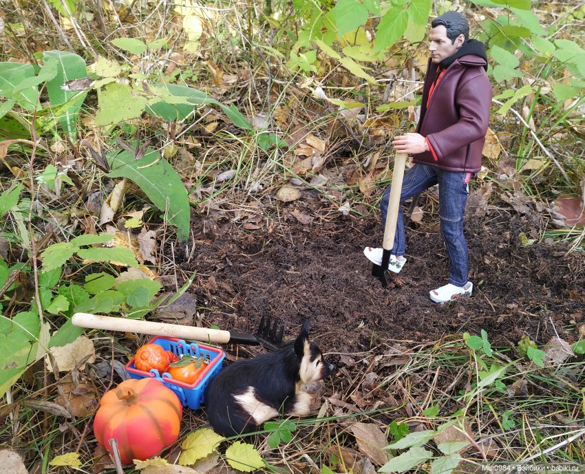 В осенних огородных заботах друзья приходят на помощь