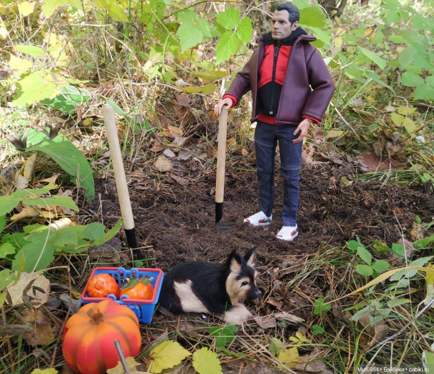 В осенних огородных заботах друзья приходят на помощь