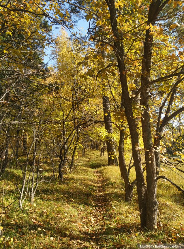 В осенних огородных заботах друзья приходят на помощь
