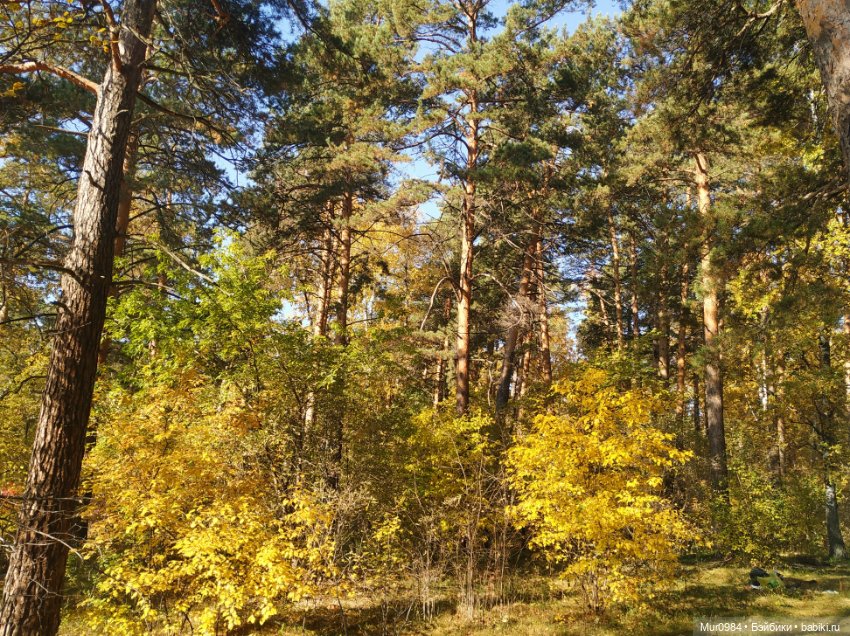В осенних огородных заботах друзья приходят на помощь