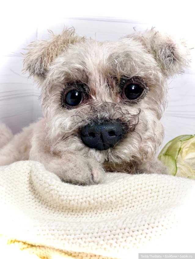 Дэйли🐶 — Реалистичные игрушки и звери (Натюр): собаки