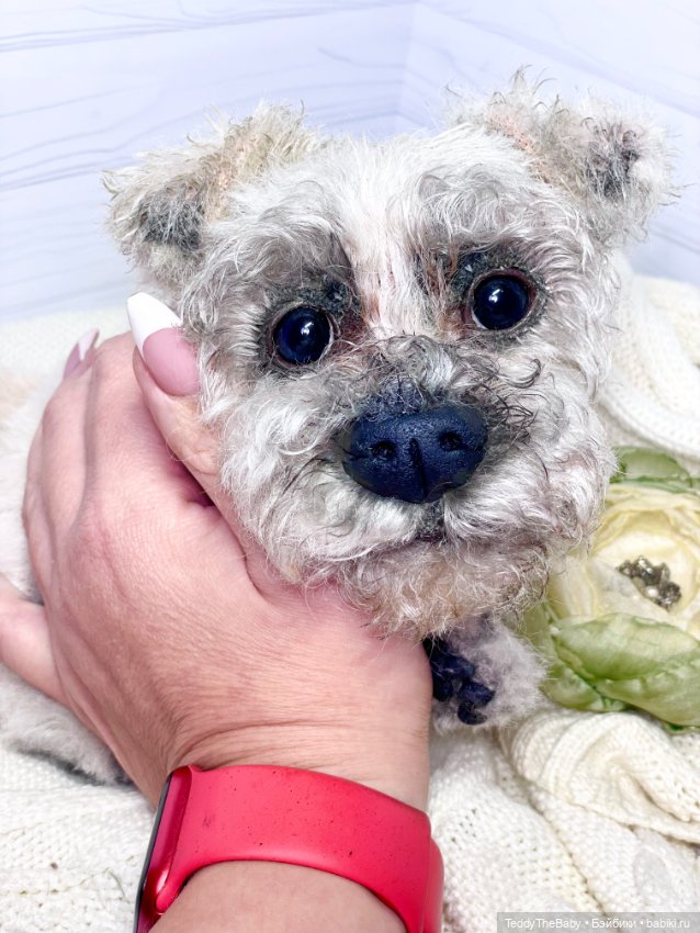 Дэйли🐶 — Реалистичные игрушки и звери (Натюр): собаки