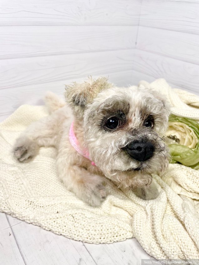 Дэйли🐶 — Реалистичные игрушки и звери (Натюр): собаки