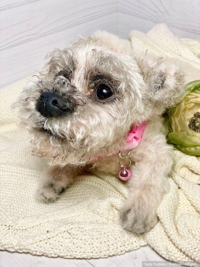 Дэйли🐶 — Реалистичные игрушки и звери (Натюр): собаки