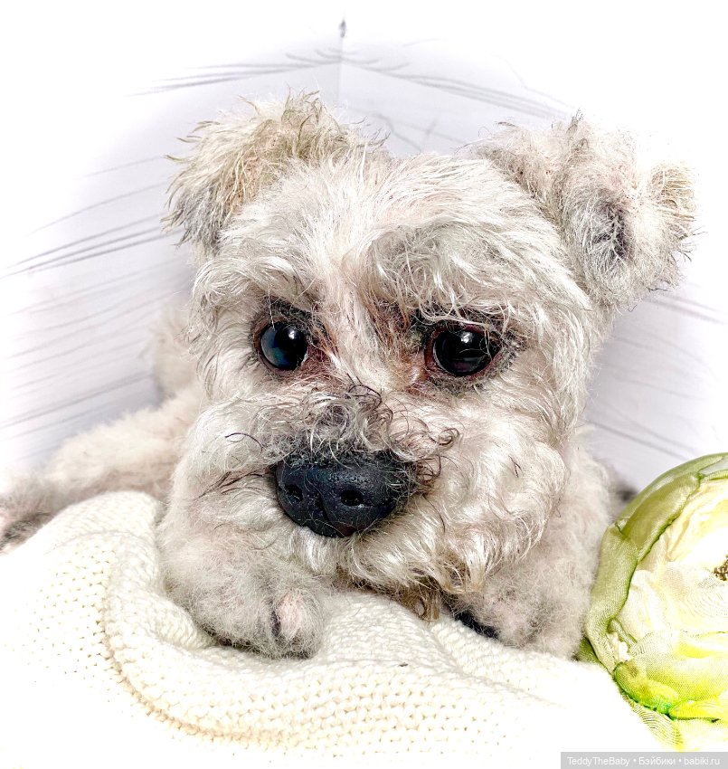 Дэйли🐶 — Реалистичные игрушки и звери (Натюр): собаки