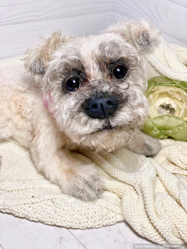 Дэйли🐶 — Реалистичные игрушки и звери (Натюр): собаки