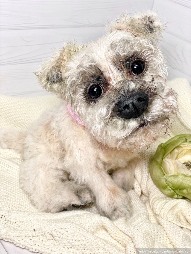 Дэйли🐶 — Реалистичные игрушки и звери (Натюр): собаки