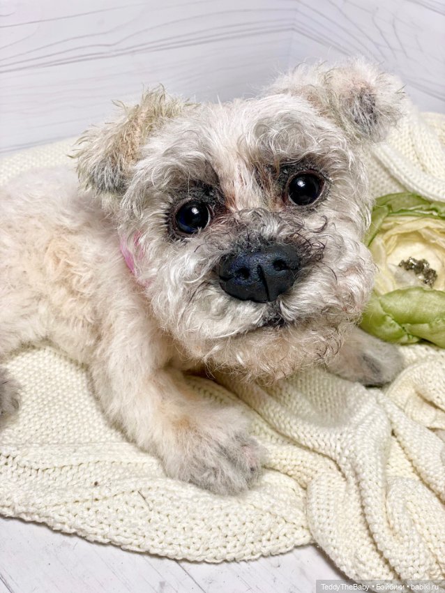 Дэйли🐶 — Реалистичные игрушки и звери (Натюр): собаки