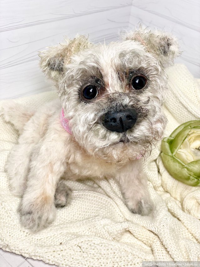 Дэйли🐶 — Реалистичные игрушки и звери (Натюр): собаки