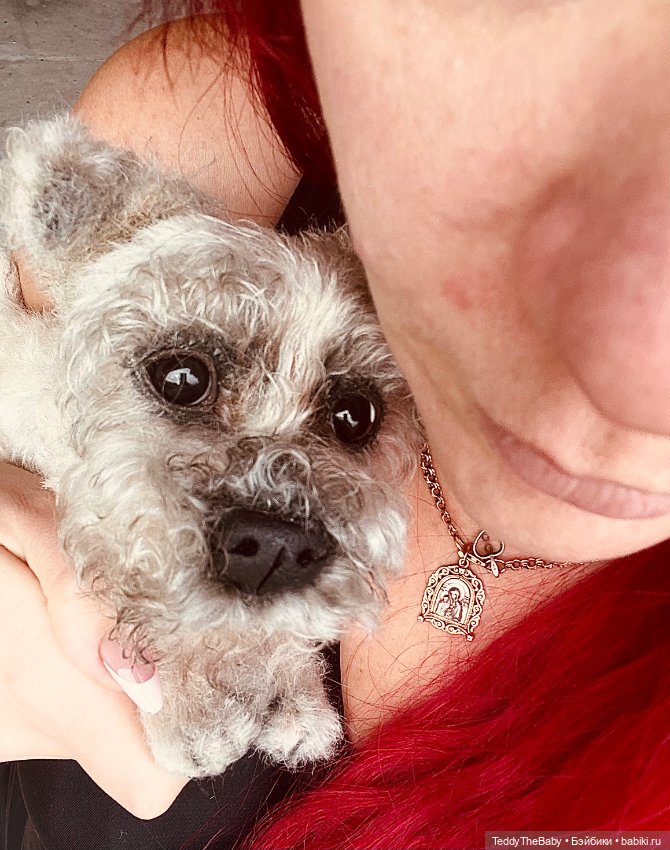 Дэйли🐶 — Реалистичные игрушки и звери (Натюр): собаки (фото 2)