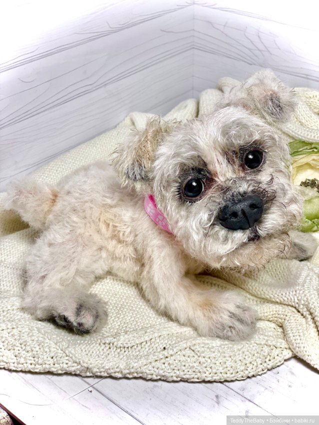 Дэйли🐶 — Реалистичные игрушки и звери (Натюр): собаки