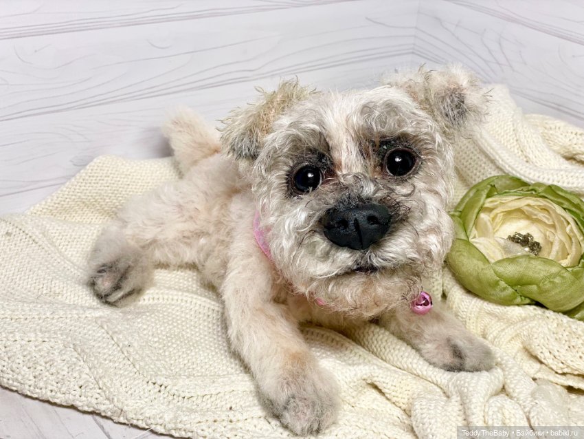 Дэйли🐶 — Реалистичные игрушки и звери (Натюр): собаки