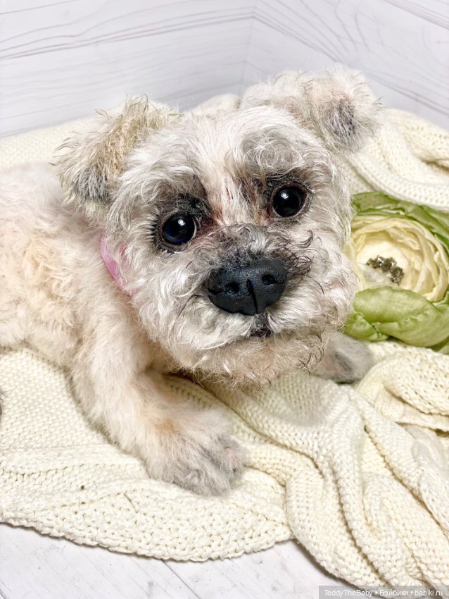 Дэйли🐶 — Реалистичные игрушки и звери (Натюр): собаки