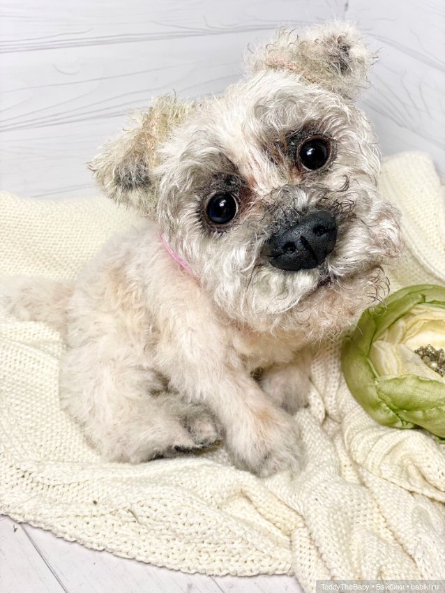 Дэйли🐶 — Реалистичные игрушки и звери (Натюр): собаки