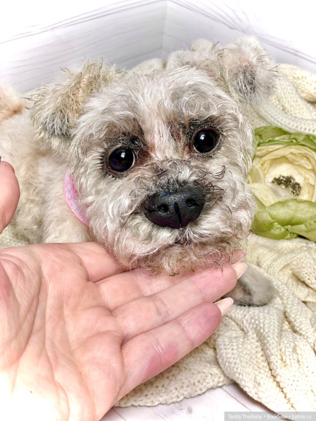 Дэйли🐶 — Реалистичные игрушки и звери (Натюр): собаки