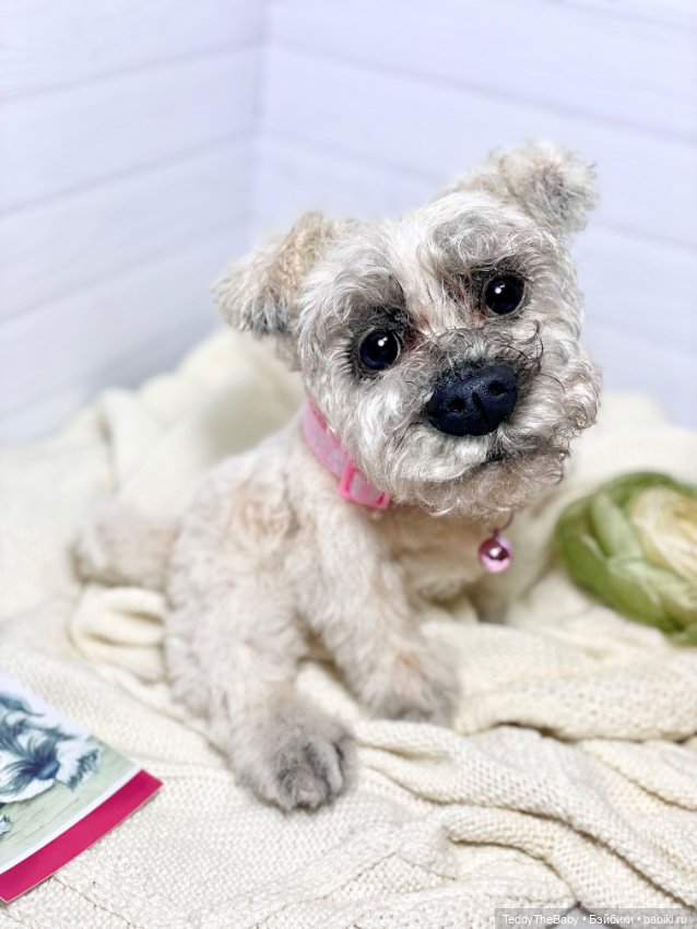 Дэйли🐶 — Реалистичные игрушки и звери (Натюр): собаки