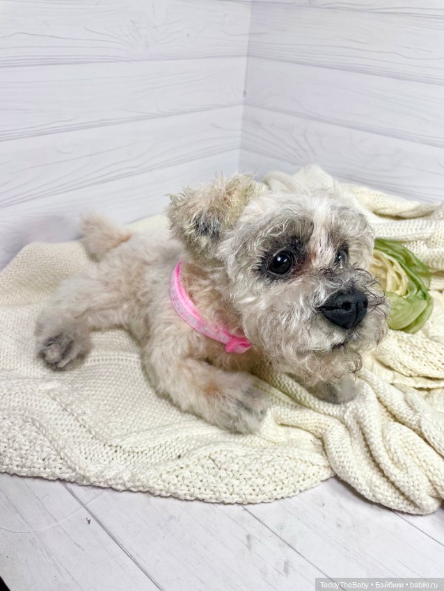 Дэйли🐶 — Реалистичные игрушки и звери (Натюр): собаки