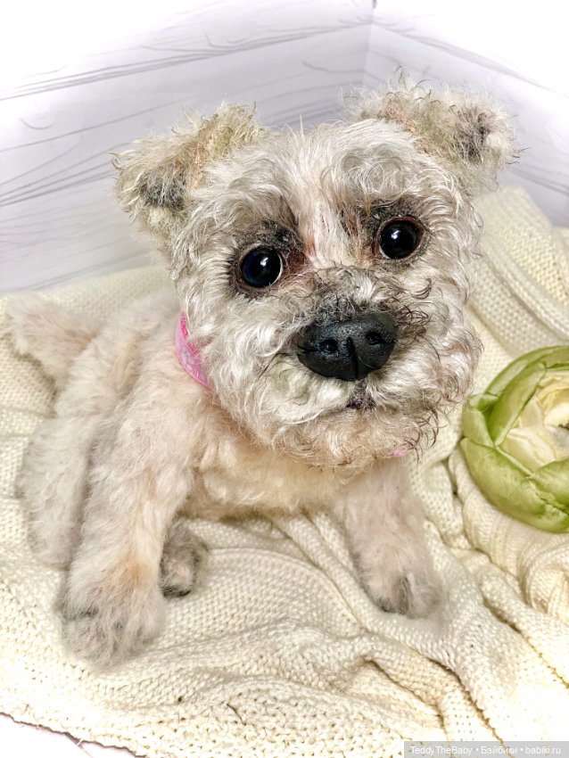 Дэйли🐶 — Реалистичные игрушки и звери (Натюр): собаки