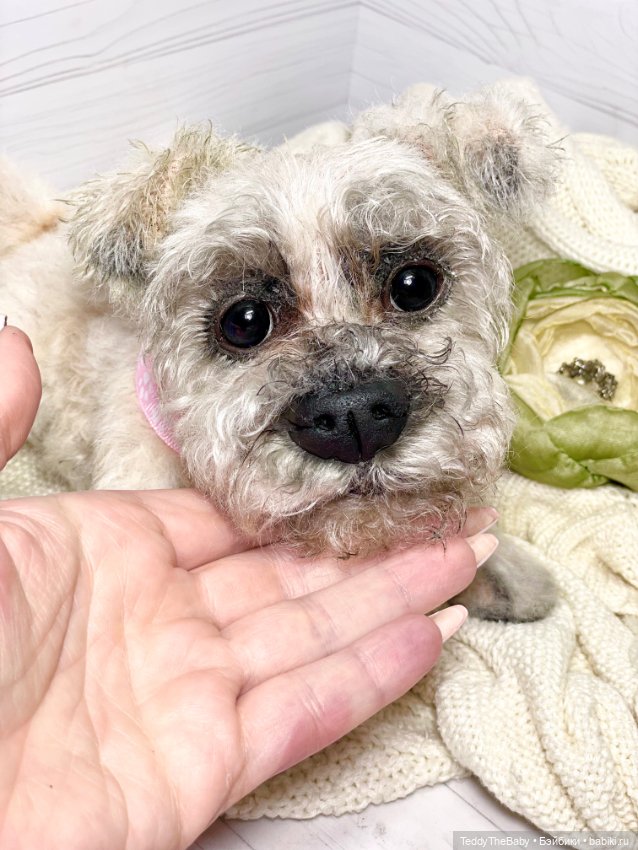 Дэйли🐶 — Реалистичные игрушки и звери (Натюр): собаки