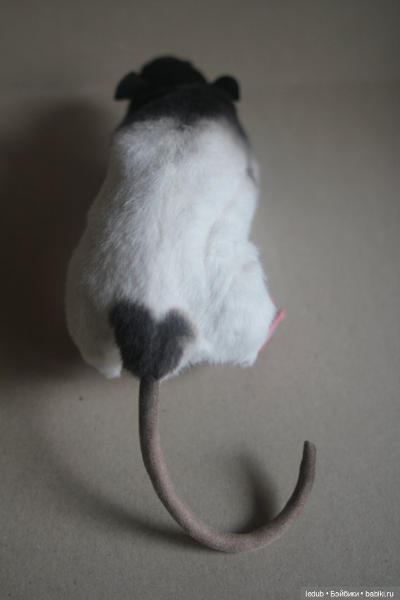 Черно-белая крыска из проекта "крЫсота" (фото 10)