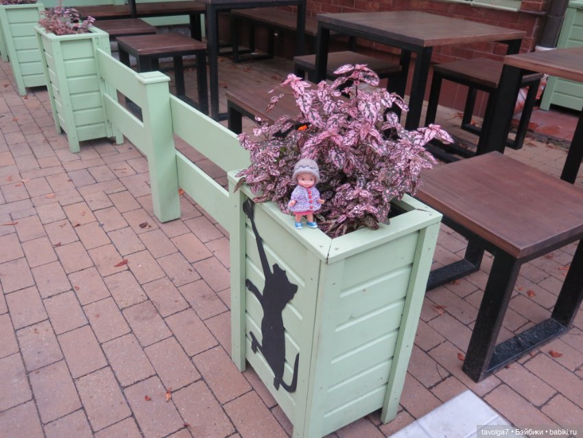 Hildy от Remco в Зеленоградске