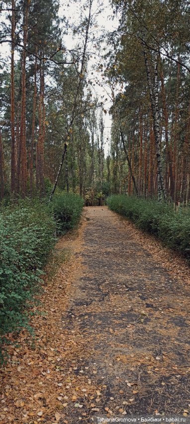 Кусочек октября — Куклы Paola Reina (Паола Рейна): новинки