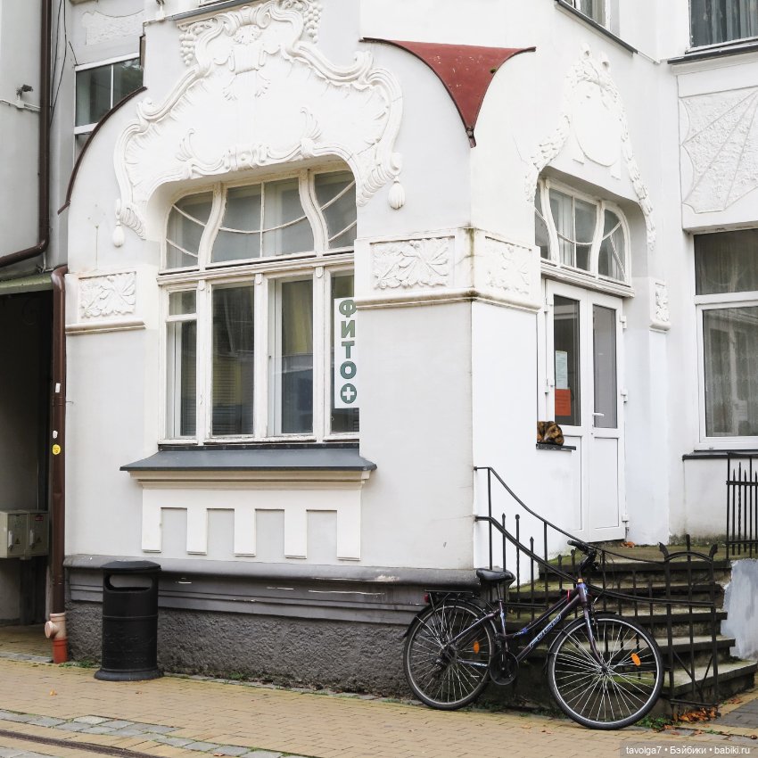 Hildy от Remco в Зеленоградске (фото 4)