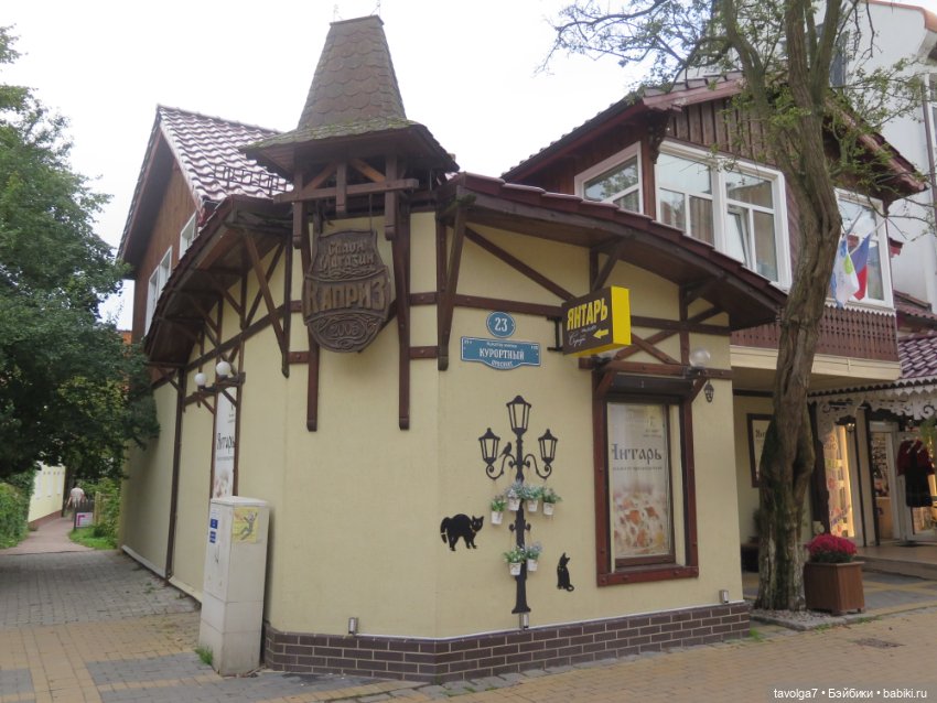 Hildy от Remco в Зеленоградске (фото 9)