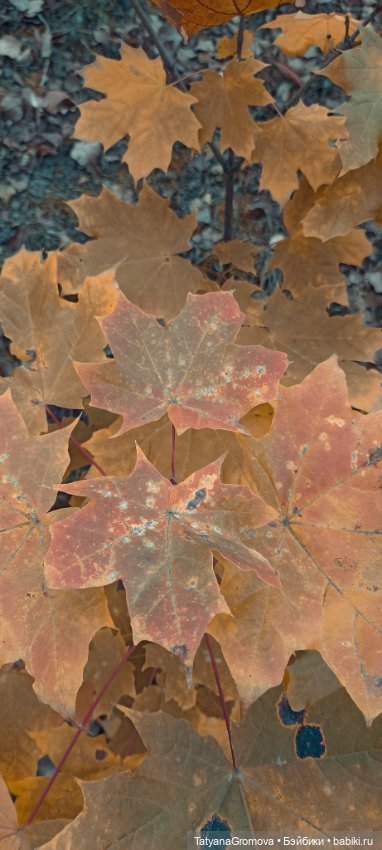 Кусочек октября — Куклы Paola Reina (Паола Рейна): новинки (фото 7)